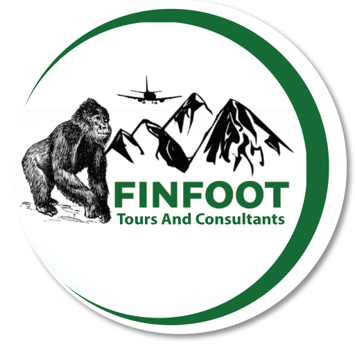 FINFOOT TOURS & CONSULTANTS